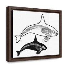 Load image into Gallery viewer, Two Orca Skeletons Framed Canvas