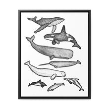 Load image into Gallery viewer, Cetaceans Framed Canvas