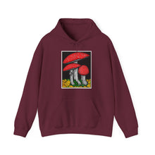Load image into Gallery viewer, Amanita Muscaria hoodie