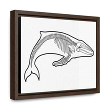 Load image into Gallery viewer, Humpback Skeleton Framed Canvas