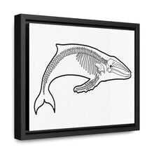 Load image into Gallery viewer, Humpback Skeleton Framed Canvas