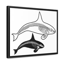 Load image into Gallery viewer, Two Orca Skeletons Framed Canvas