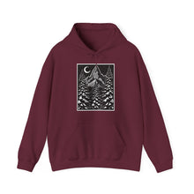 Load image into Gallery viewer, Winter Night hoodie