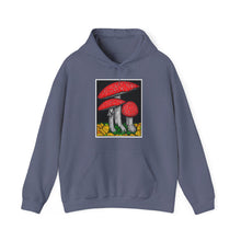 Load image into Gallery viewer, Amanita Muscaria hoodie