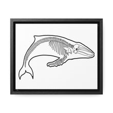 Load image into Gallery viewer, Humpback Skeleton Framed Canvas