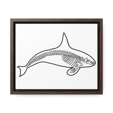 Load image into Gallery viewer, Orca Skeleton Framed Canvas