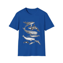 Load image into Gallery viewer, Cetaceans t-shirt