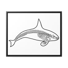 Load image into Gallery viewer, Orca Skeleton Framed Canvas