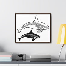 Load image into Gallery viewer, Two Orca Skeletons Framed Canvas