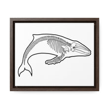 Load image into Gallery viewer, Humpback Skeleton Framed Canvas