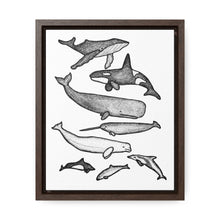 Load image into Gallery viewer, Cetaceans Framed Canvas