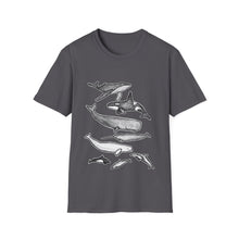 Load image into Gallery viewer, Cetaceans t-shirt