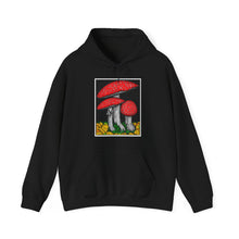 Load image into Gallery viewer, Amanita Muscaria hoodie