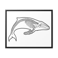 Load image into Gallery viewer, Humpback Skeleton Framed Canvas