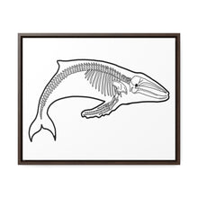 Load image into Gallery viewer, Humpback Skeleton Framed Canvas