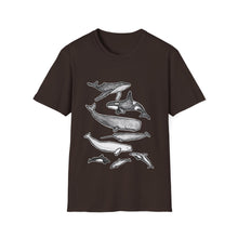 Load image into Gallery viewer, Cetaceans t-shirt