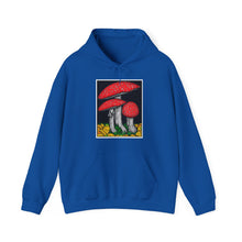 Load image into Gallery viewer, Amanita Muscaria hoodie