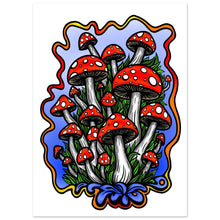 Load image into Gallery viewer, 891daad9-4c38-4deb-b9d7-07884b322e4f