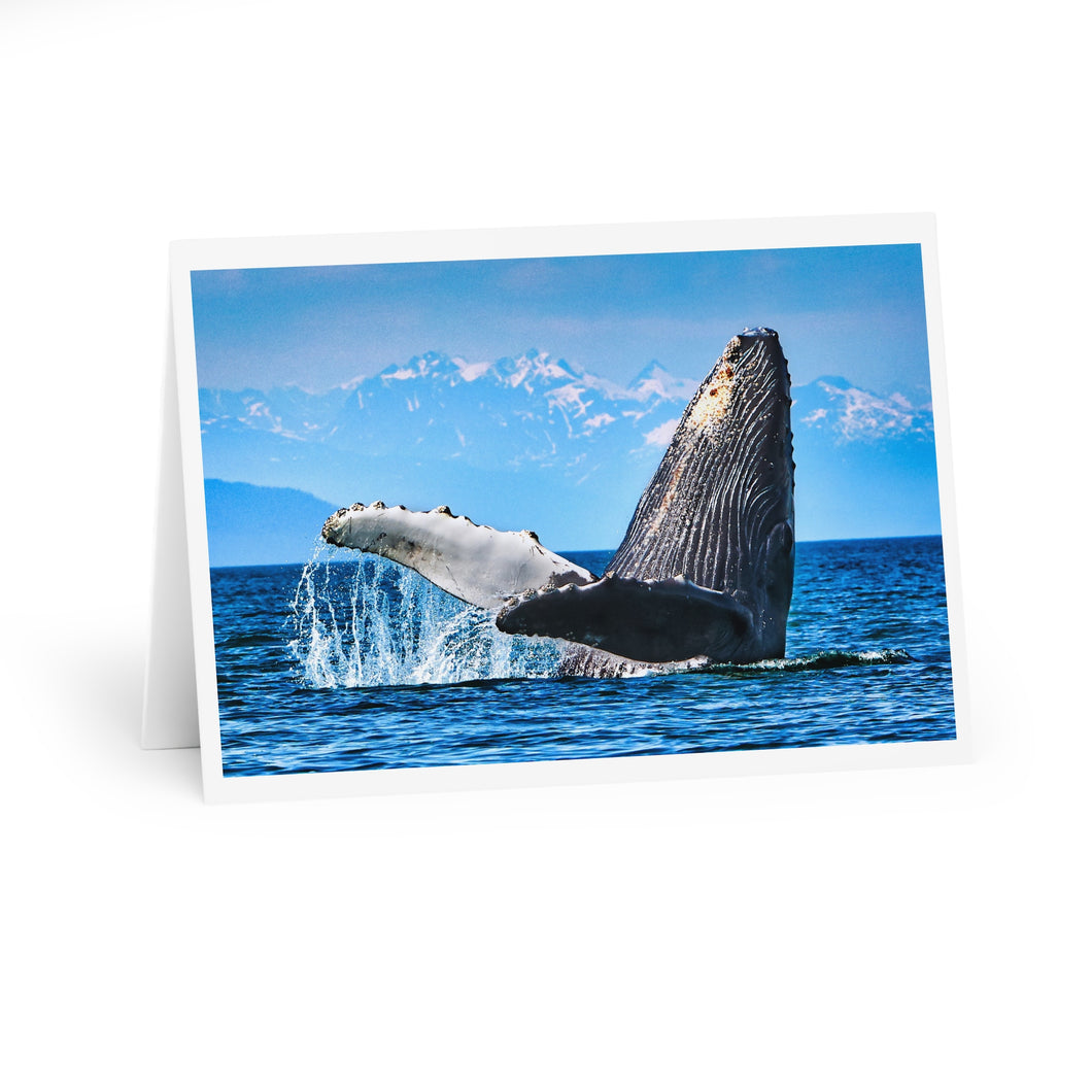 Breaching Humpback Greeting Cards (5 Pack)