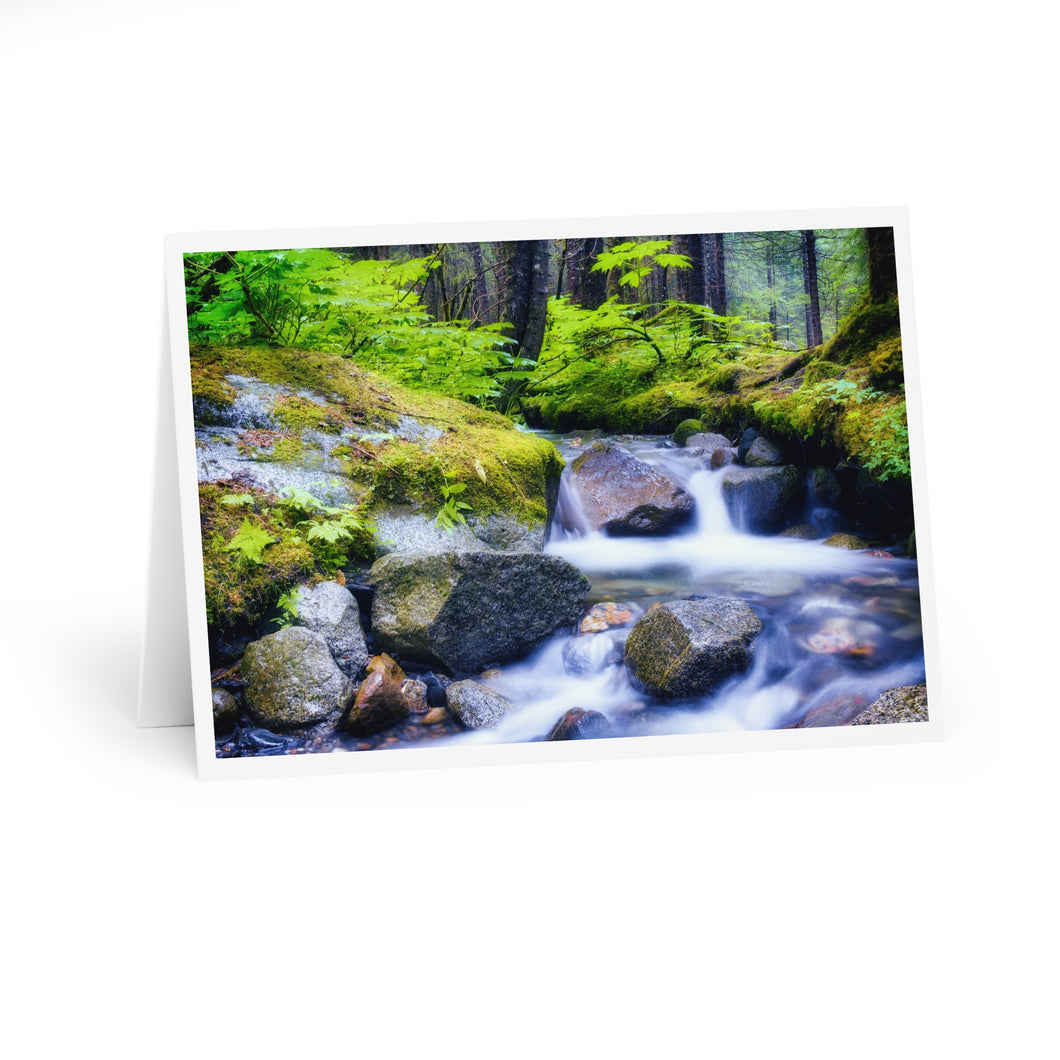 Rainforest Stream Greeting Cards (5 Pack)