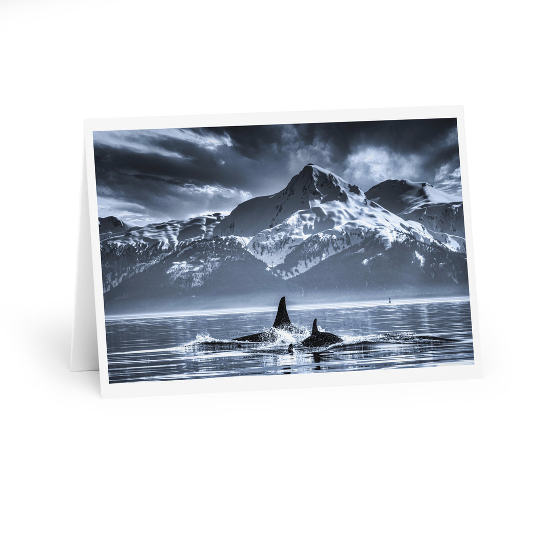 Orca Pod Greeting Cards (5 Pack)