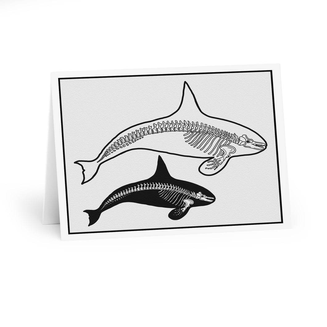 Two Orca Skeleton Greeting Cards (5 Pack)