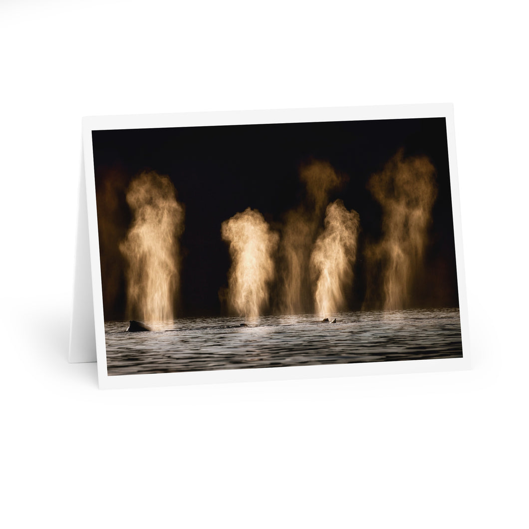 Whale Breath Greeting Cards (5 Pack)